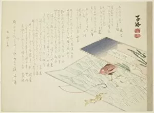 Rabbit Collection: Rabbit and Fish, spring 1855. Creator: Shiko