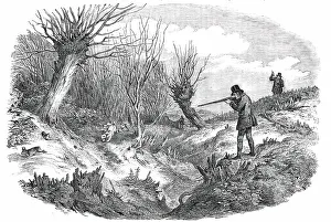 Rabbit-Shooting near Tunbridge - drawn by Duncan, 1850. Creator: Unknown