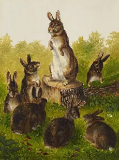 Podium Prints: Rabbits, 1859. Creator: William Jacob Hays