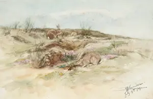 Behaviour Prints: Rabbits, 1891. Creator: Edwin Alexander