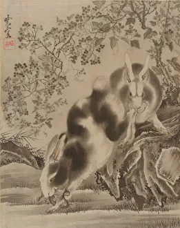 Rabbit Prints: Rabbits, ca. 1887. Creator: Kawanabe Kyosai