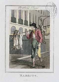 William Marshall Gallery: Rabbits, Cries of London, 1804