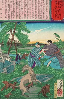Taiso Prints: Raccoon Dog Protects Its Cubs from Attack by a Dog, c1875. Creator: Tsukioka Yoshitoshi