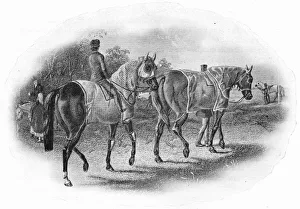 Trainer Prints: The Next Race, 19th century, (1911)