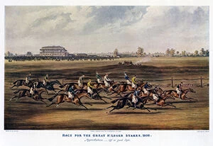 Race for the Great St Leger Stakes, 1836'.Artist: Harris
