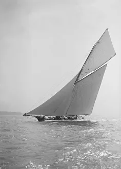 The racing cutter Creole under sail, 1911. Creator: Kirk & Sons of Cowes The racing cutter Creole under sail, 1911. Creator: Kirk & Sons of Cowes