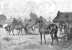 Paddock Prints: The Racing Season- Notes at Newmarket; Young Thoroughbreds at home, 1890. Creator: Unknown