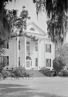 Plantation Prints: Radcliffe Cheston, Jr. Friendfield Plantation