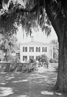 Plantation Prints: Radcliffe Cheston, Jr. Friendfield Plantation