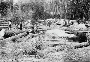 Reproduction Prints: Rafting pine logs, Keystone Lumber Company, 1901 Dec 29. Creator: Unknown
