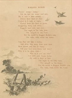Ragged Robin, late 19th-early 20th century? Creator: Unknown
