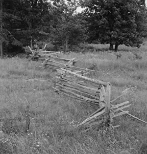 Rail Gallery: Rail fence with poor barbed wire fence in foreground, Person County, North Carolina, 1939