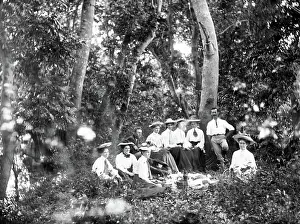 Gold Coast Prints: Rainforest picnic, possibly Gold Coast hinterland