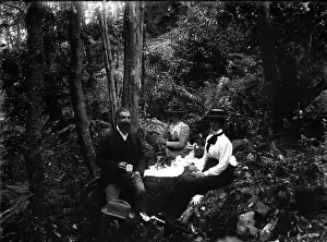 Exploring Prints: Rainforest walk, picnic possibly Tamborine Mountain region, c1900s