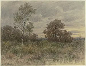 Rainy landscape with oaks and birches standing in marshy terrain, 19th century. Creator: Jakob Maurer