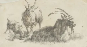 Bye Marcus De Prints: Ram, Ewe and Kid, 17th century. Creator: Marcus de Bye