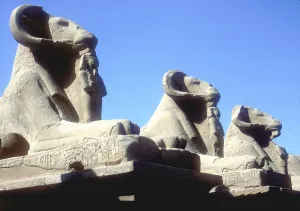 Amon Ra Prints: Ram-headed sphinxes, Temple of Amun, Karnak, Egypt