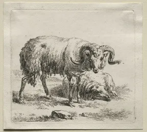 Ram and Sheep. Creator: Nicolaes Berchem (Dutch, 1620-1683)