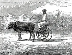 Madras India Prints: Ramasawmy going to Bazaar, Madras, 1876. Creator: Unknown