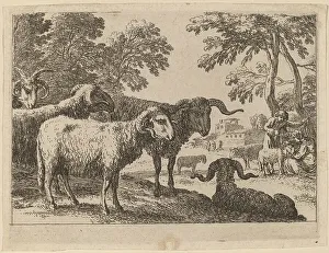 Rams Prints: Rams. Creator: Herman van Swanevelt