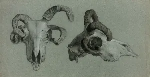 George Hayter Prints: Rams Skulls, n.d. Creator: George Hayter