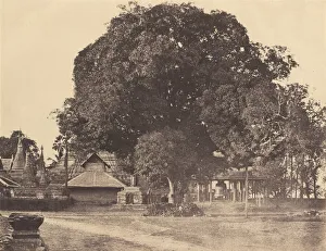 Tripe Linnaeus Prints: Rangoon: Great Bell of the Shwe Dagon Pagoda, November 1855