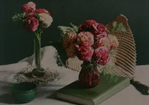 Autochrome Prints: Ranunculi, 1914. Creator: Robert Walrond