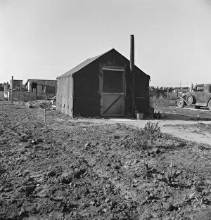 Flue Collection: Rapidly growing settlement of lettuce workers, outskirts of Salinas, California, 1939