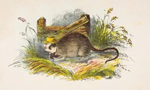 Comic Collection: One of the Rats, from The Comic Natural History of the Human Race, 1851