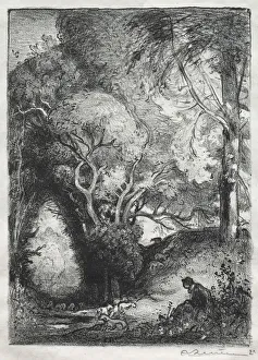 The Ravine in June. Creator: Auguste Louis Lepere (French, 1849-1918)