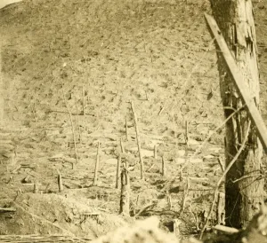 Ravine Collection: Ravine at Les Eparges, northern France, c1914-c1918