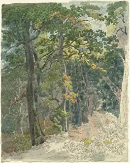 Friedrich Salathé Prints: Rays of Sunlight Striking a Woodland Path, c. 1815. Creator: Friedrich Salathe