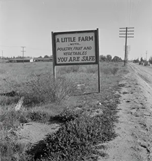 Road Sign Prints: Real estate sign along the highway