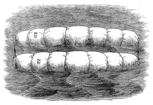 Lifesaving Prints: Rear-Admiral Ryder's floating hammocks for saving life at sea, 1871. Creator: Unknown