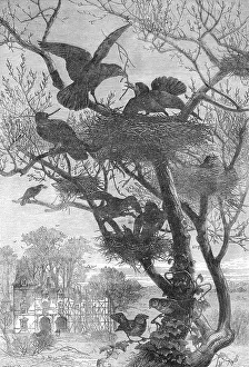 Repair Prints: Rebuilding, 1871. Creator: Pearson