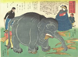 Captivity Gallery: Recently Imported Big Elephant, 1863 (3rd month). Creator: Ichiryusai Yoshitoyo