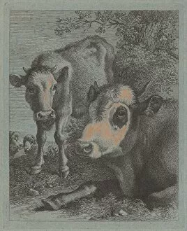 Reclining Cow and Calf in the Open, 1758 / 1759. Creator: Francesco Londonio