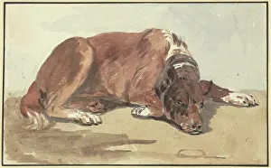 Reclining Great Dane, head on the ground, 18th century. Creator: Conrad Gesner