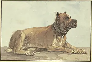 Handmade Paper Prints: Reclining Great Dane, head raised, 18th century. Creator: Conrad Gesner