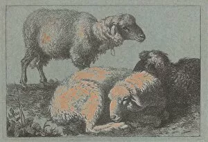 Two Reclining Sheep and One Standing Sheep, 1757 / 1758. Creator: Francesco Londonio