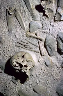 Neanderthal Prints: Reconstruction of a high-status neanderthal burial in central Asia