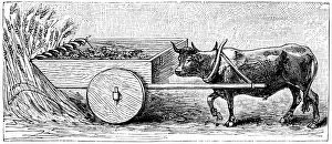 Pliny The Elder Gallery: Reconstruction of reaping machine used in Gaul in Ancient Roman times, as described by Pliny, c1890