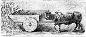 Reconstruction of reaping machine used in Gaul in Ancient Roman times, as described by Pliny, c1890 Reconstruction of reaping machine used in Gaul in Ancient Roman times, as described by Pliny, c1890