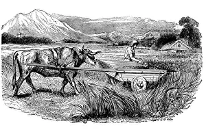 Reconstruction of Roman reaping cart, as described by Pliny, Engraving, 1860 Reconstruction of Roman reaping cart, as described by Pliny, Engraving, 1860