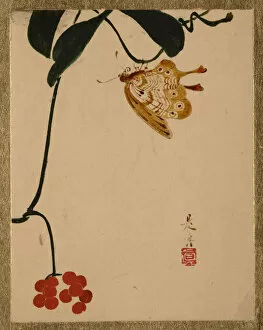 Zeshin Gallery: Red Berry Plant and Butterfly. Creator: Shibata Zeshin
