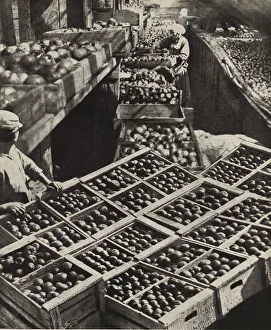 Lissitzky Prints: The Red Gardener collective farm