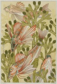 The red mullets, 1897. Creator: Verneuil, Maurice Pillard (1869-1942)
