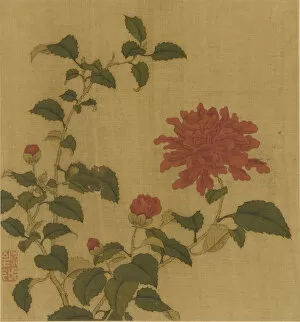 Images Dated 20th August 2021: Red Peony, Qing dynasty, 18th century. Creator: Unknown