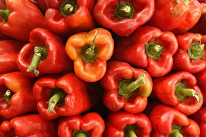 Capsicum Collection: Red peppers in a market, Mallorca, Spain