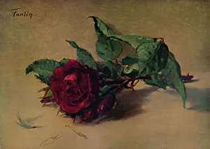 Red Rose Prints: Red Rose, c1864, (1938). Artist: Henri Fantin-Latour